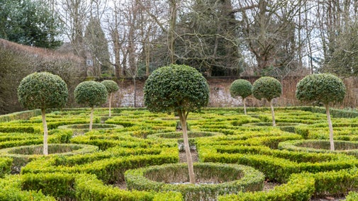The Knot Garden in winter at Moseley Old Hall, Staffordshire